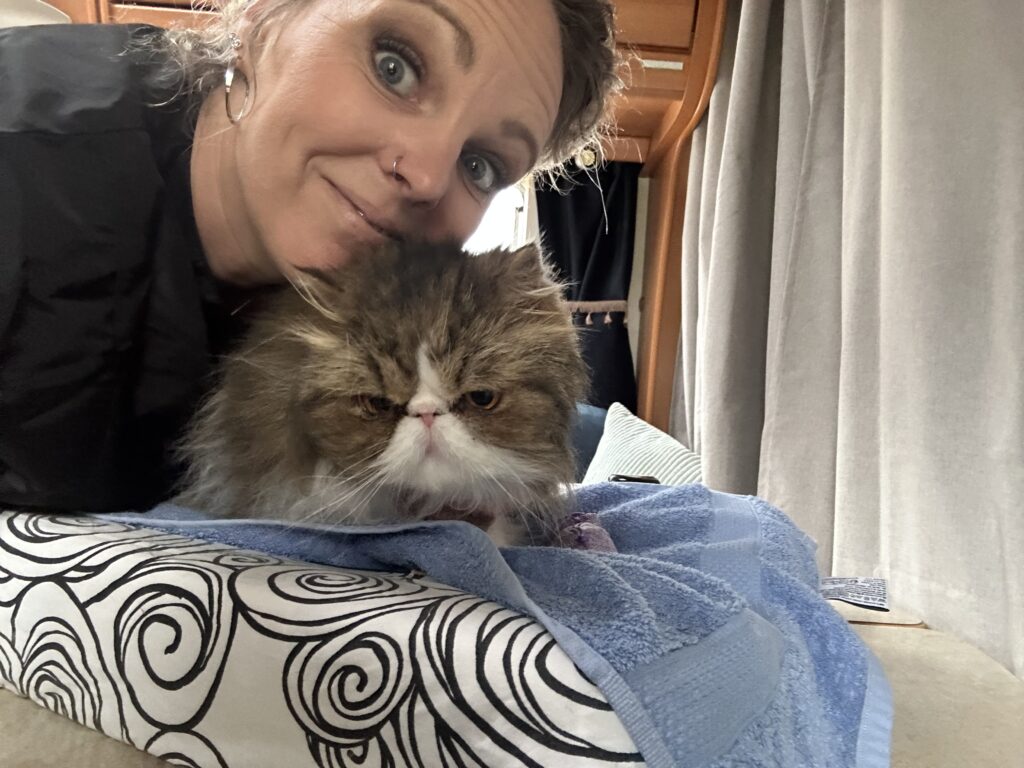 Happy chappy! - De Knappe Kater